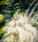 Dipinto in olio su tela di cm80x80 denominato Nel bosco realizzato da Rossana Longo in una foto di Marino Ierman del 2007