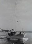 Imbarcazione denominata Edipo Re dall'Archivio Buiatti