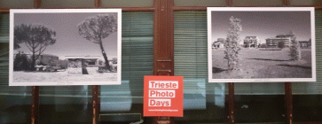 Due fotografie in mostra a Trieste