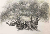 Opera a amatita su carta di cm 60x80 denominata L'anima del Mediterraneo 3 realizzata da Zhou Zhiwei nel 2025